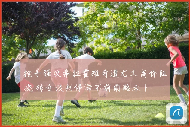 枪手强攻弗拉霍维奇遭尤文高价阻挠 转会谈判停滞不前前路未卜